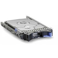 Ibm 300GB SAS HDD (81Y9670)